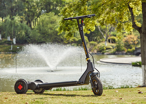 ARD 301 Alu Alloy H1340mm Electric Balance Scooter