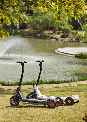 ARD 301 Alu Alloy H1340mm Electric Balance Scooter