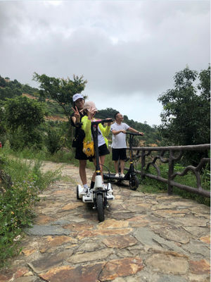 160cm Length 21km/H Painting Colors Electric Balance Scooter