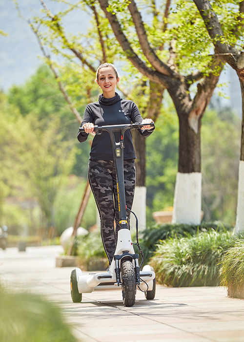 ARD 301 Alu Alloy H1340mm Electric Balance Scooter