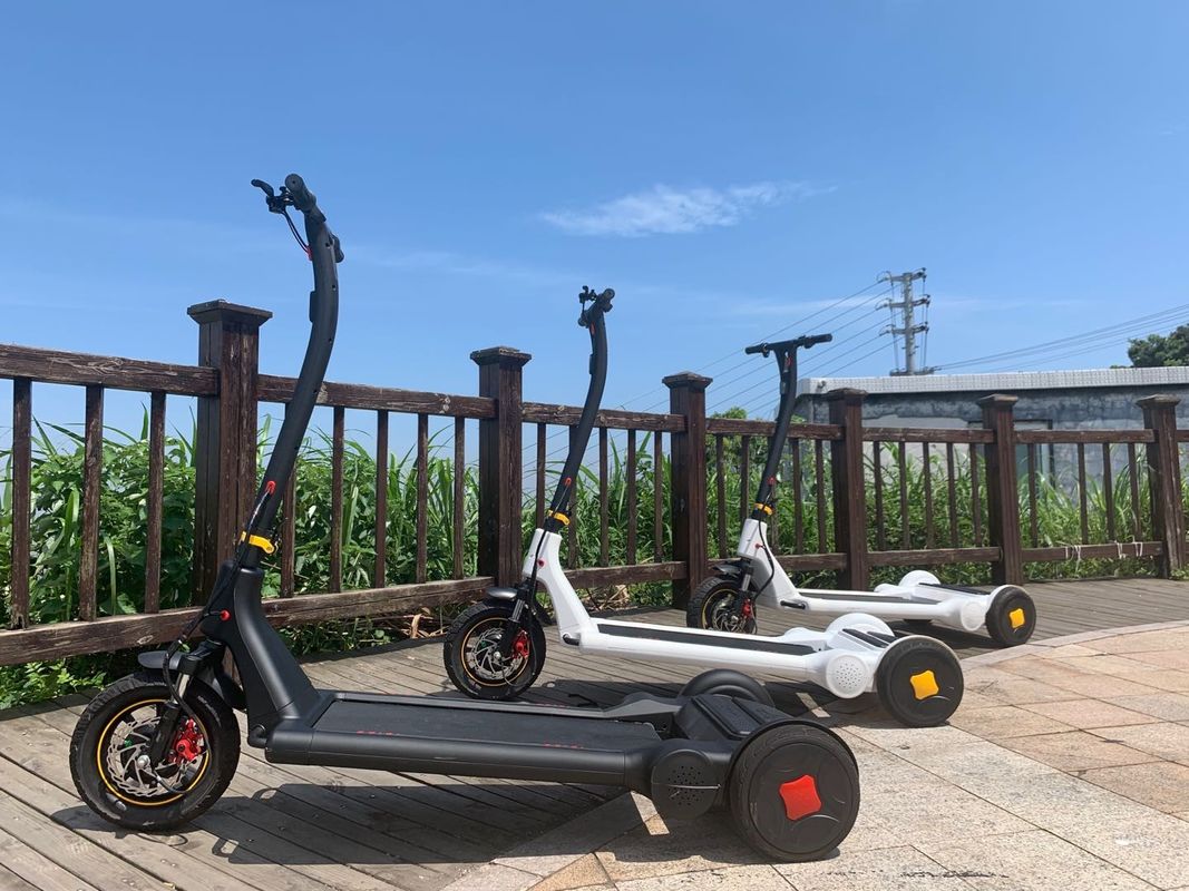 Precursor 250W Self Balancing Electric Scooter With 11.3Ah Battery