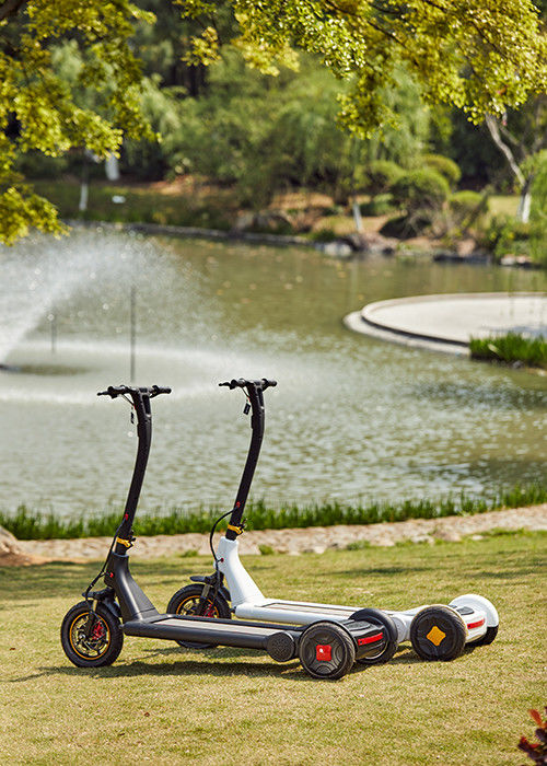 Airuide Rear Wheel 13inch Electric Commuter Scooter