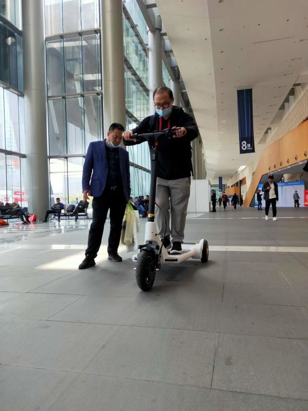 160cm Length 21km/H Painting Colors Electric Balance Scooter